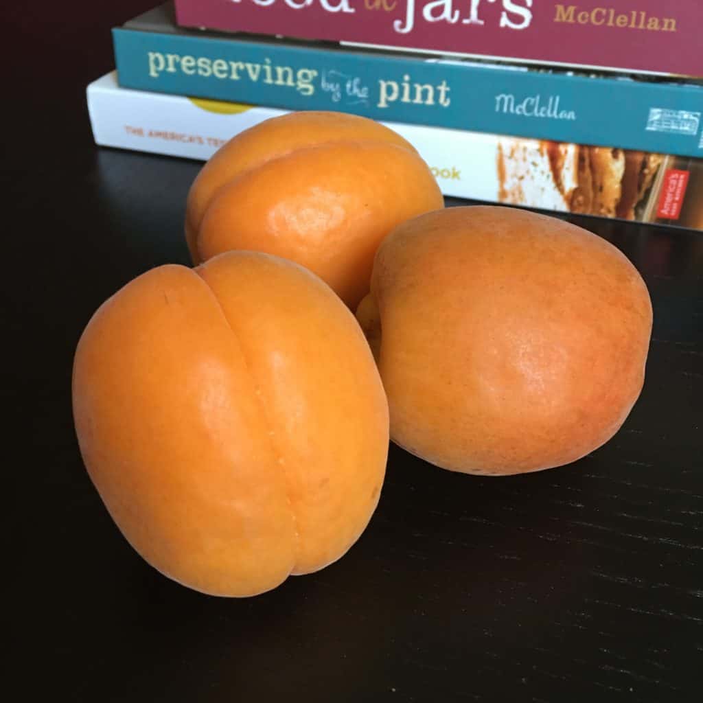 Fresh apricots and cookbooks on preserving