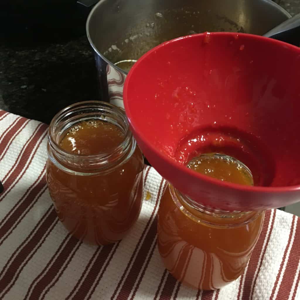 Making apricot jam - filling the jars