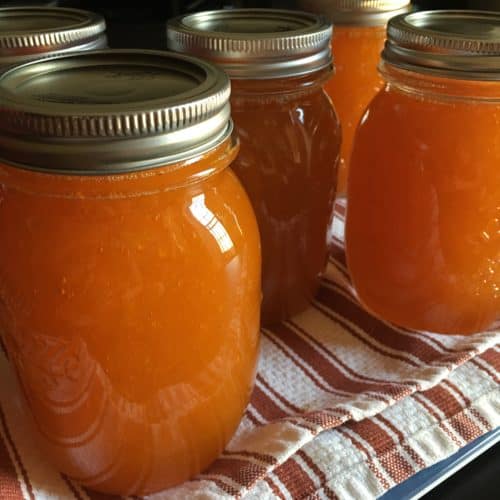 Jars of apricot jam