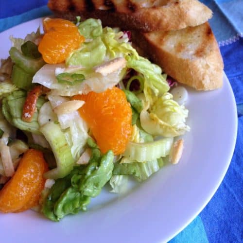 Mandarin orange and candied almond salad - closeup