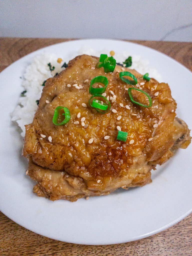 Shoyu chicken with rice