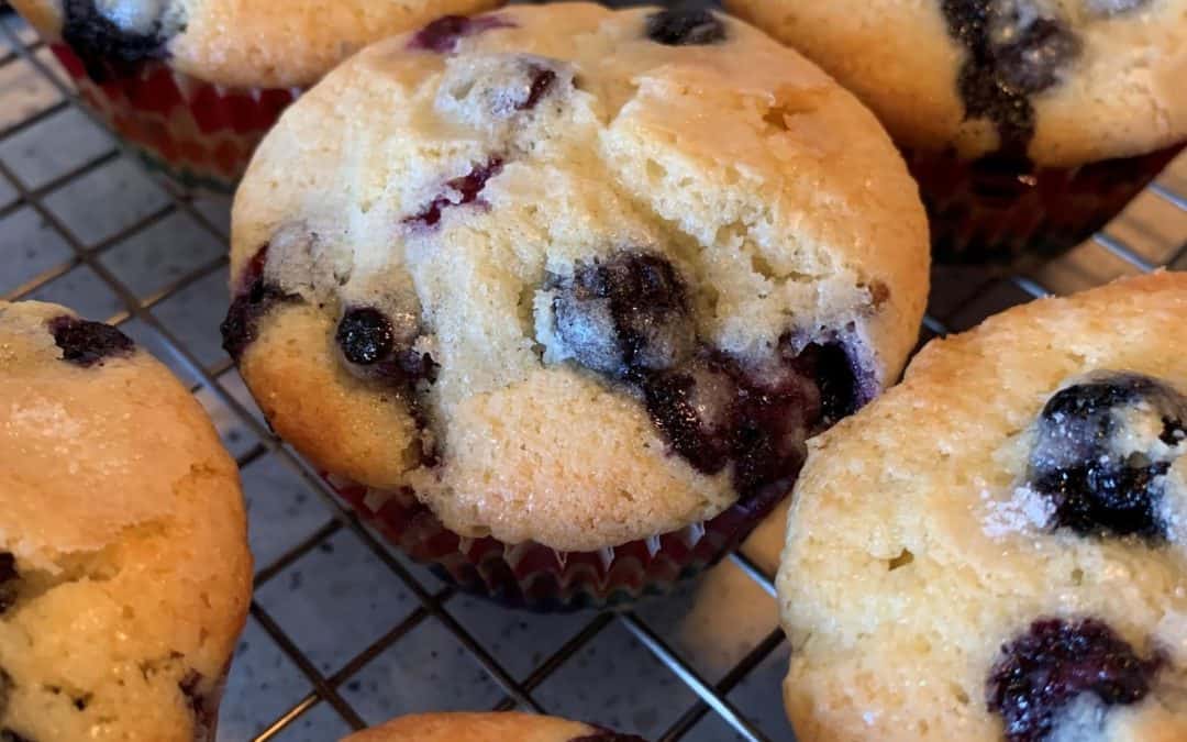 Jordan Marsh Blueberry Muffins