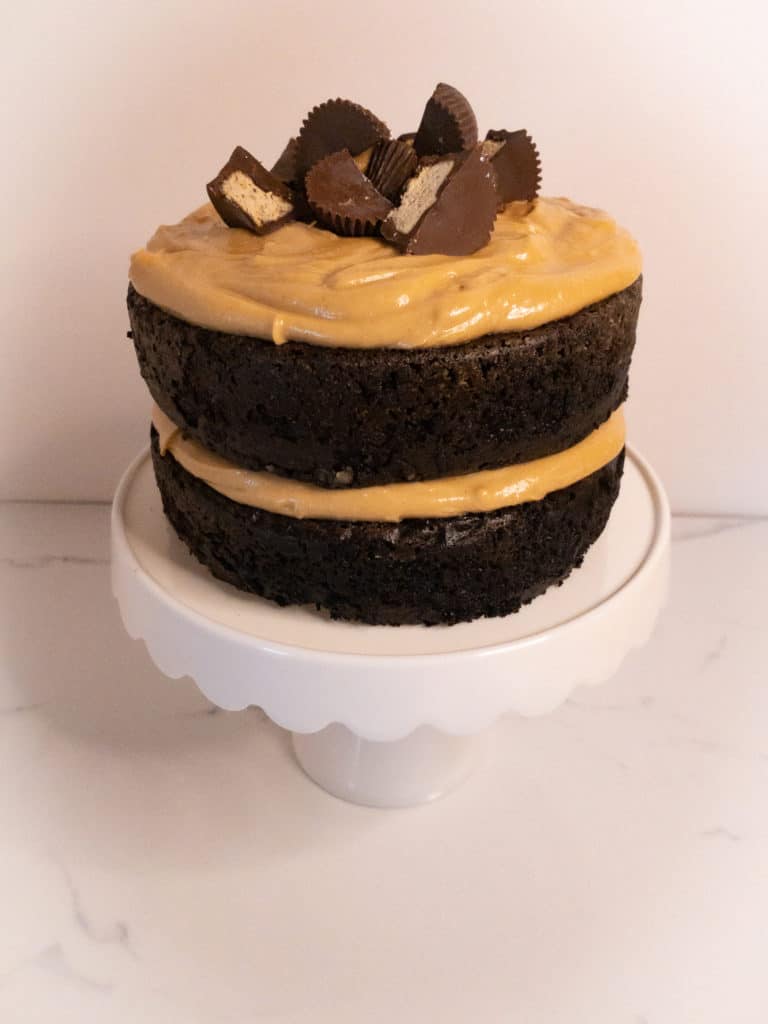 Chocolate cake with peanut butter frosting