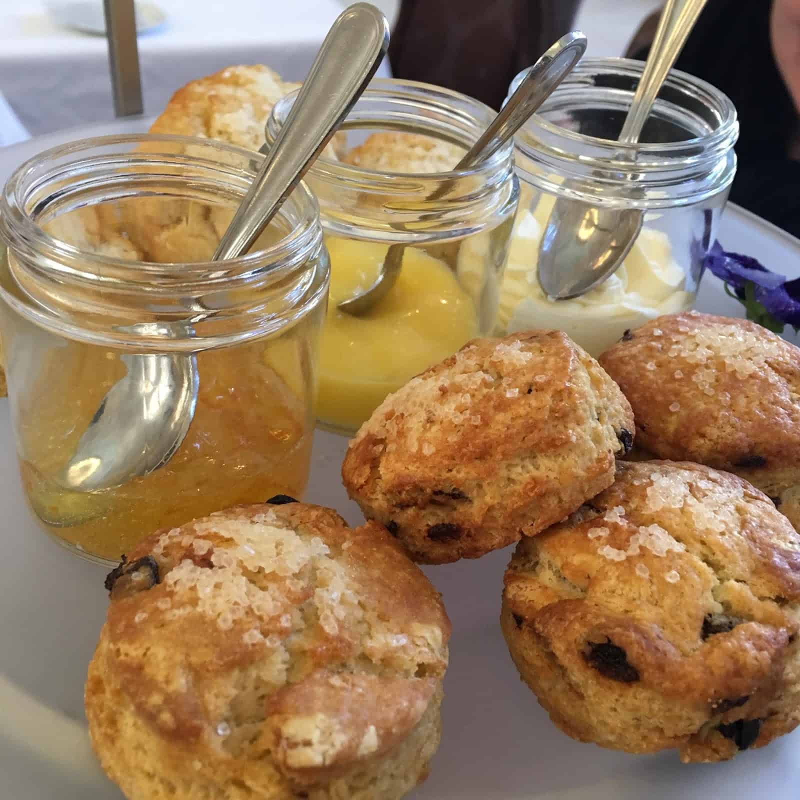 Courtyard Tea Room - scones and acoutrements
