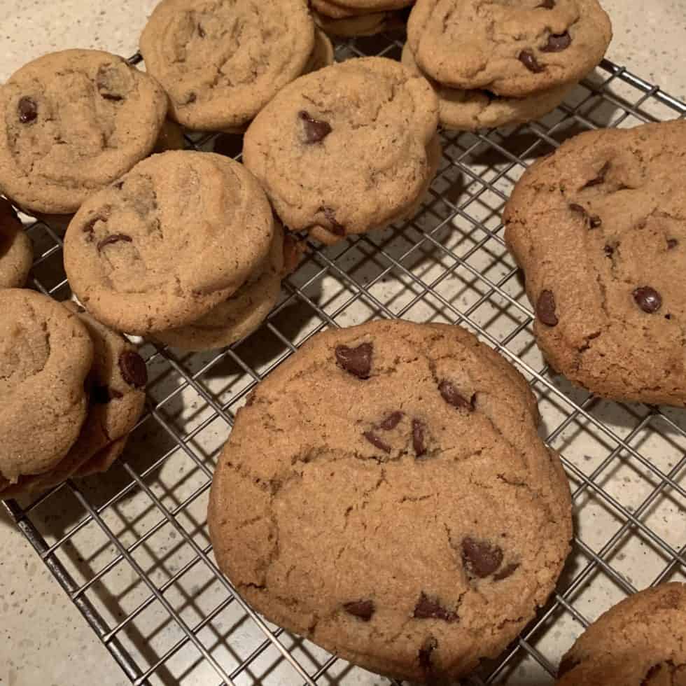 Jack jack s num num cookies she s almost always hungry