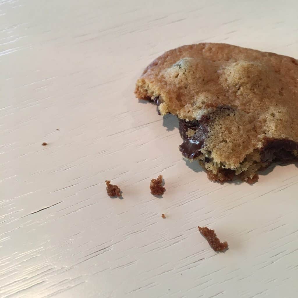 Partially eaten cookie
