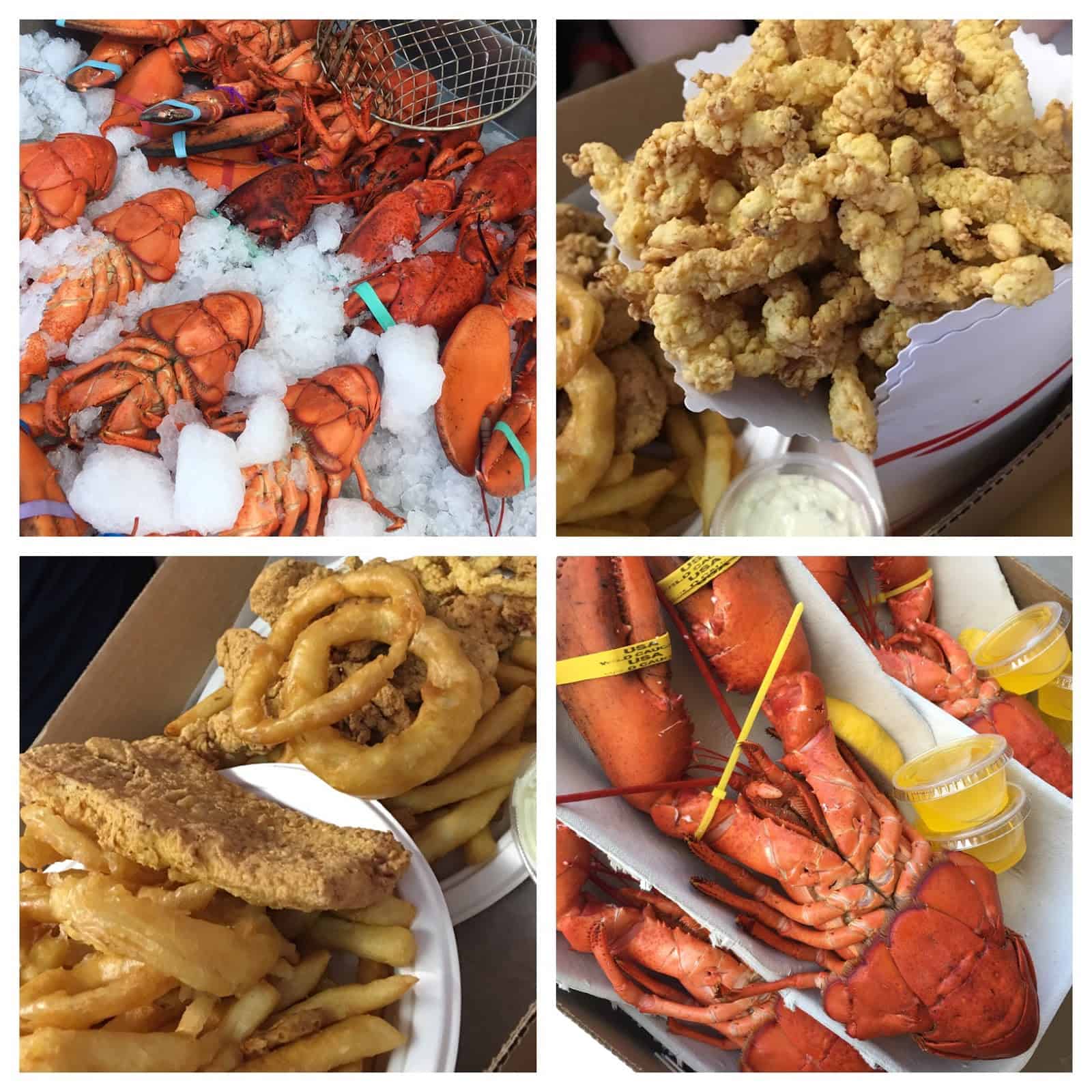 Collage of steam lobsters, fried clams, onion rings, and fries