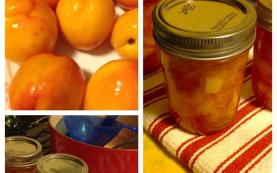 Adventures in Canning – Part 1