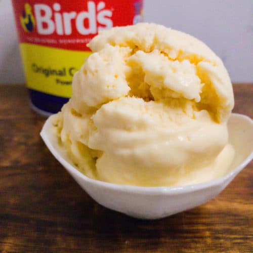 Bird's Custard No-Churn Ice Cream with Bird's Custard Powder canister