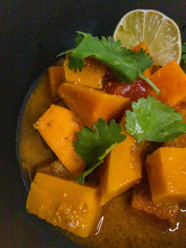 Kabocha & sweet potato curry - close up