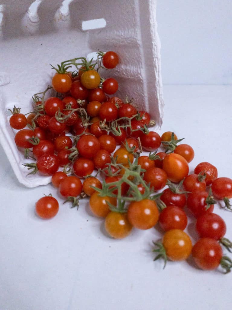 Hawaii currant tomatoes