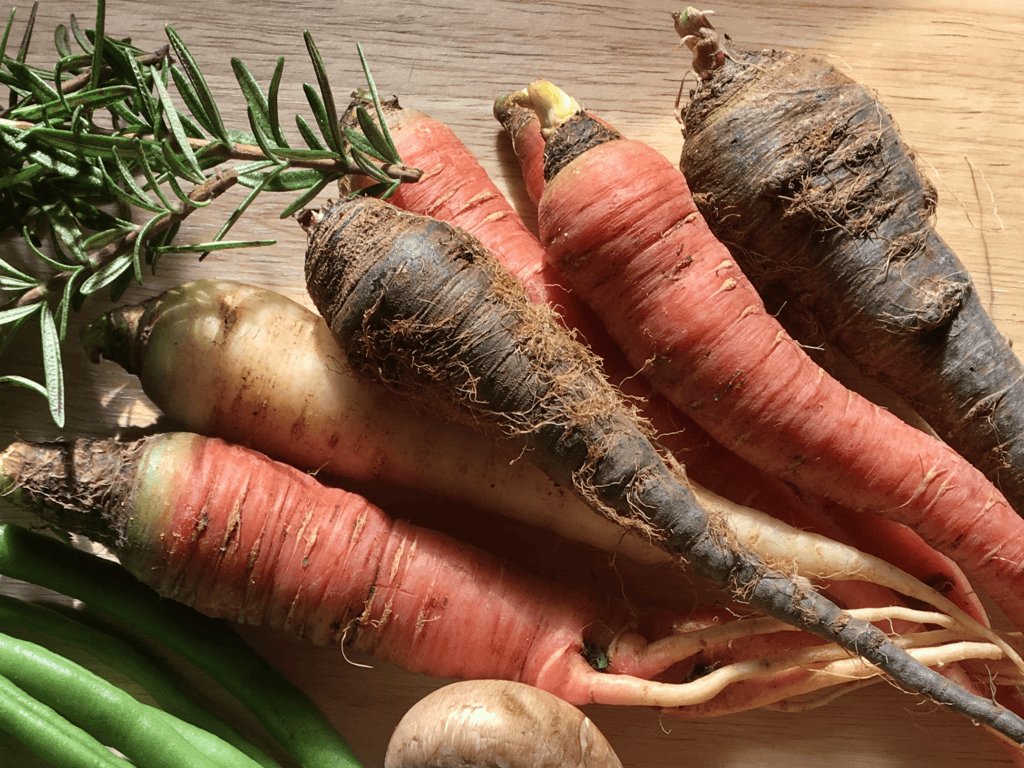 Rainbow carrots