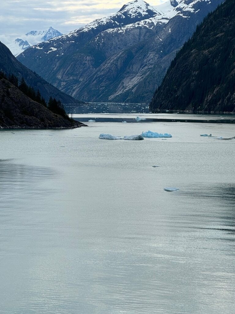 Alaska - Endicott Glacier scenic cruising