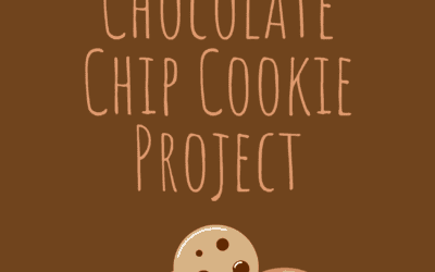 The 2024 Chocolate Chip Cookie Project