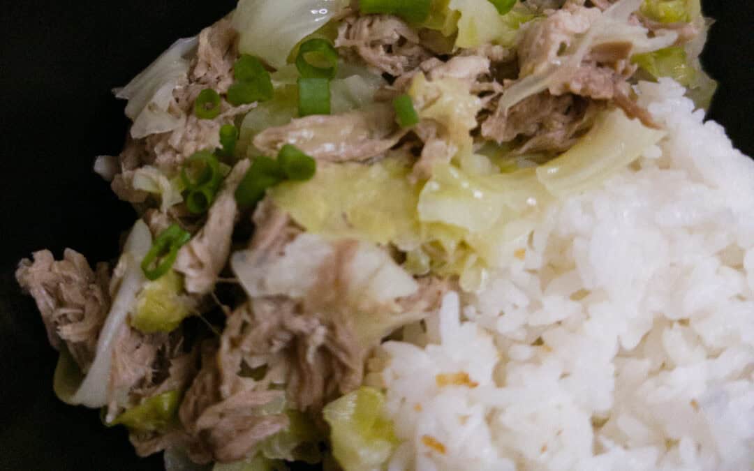 Kalua Pork and Cabbage - close up